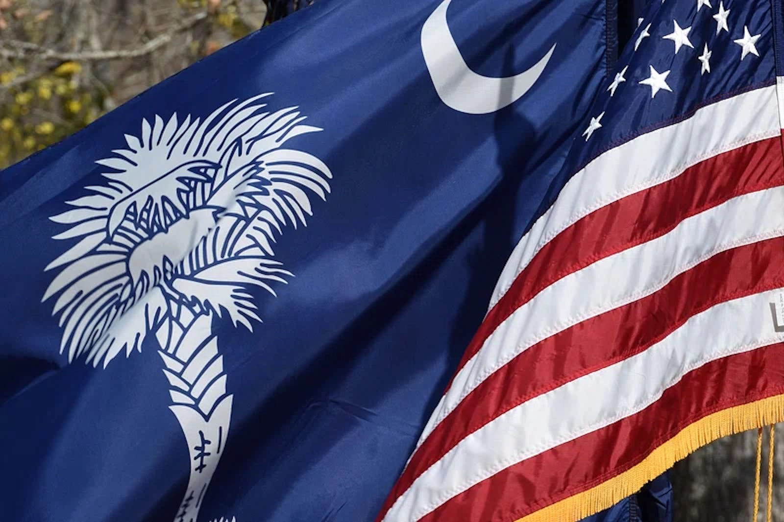 South Carolina state flag and United States flag